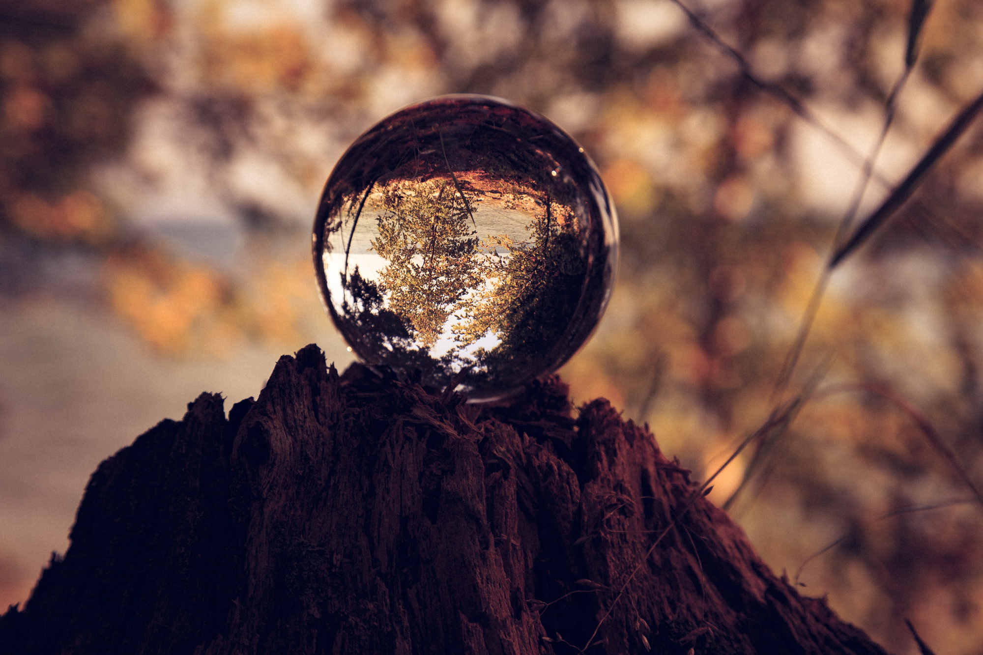 Ball on a stump