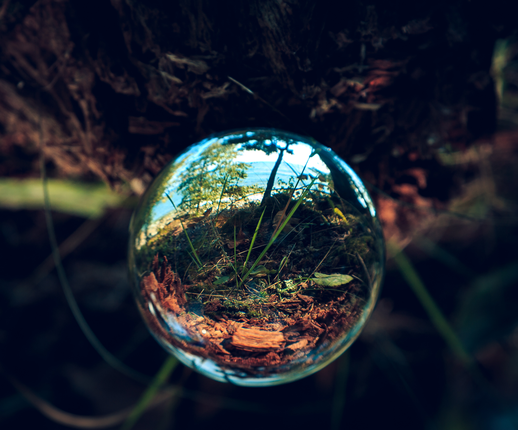 Flipped ball on stump